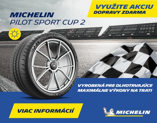 Michelin PILOT SPORT CUP 2